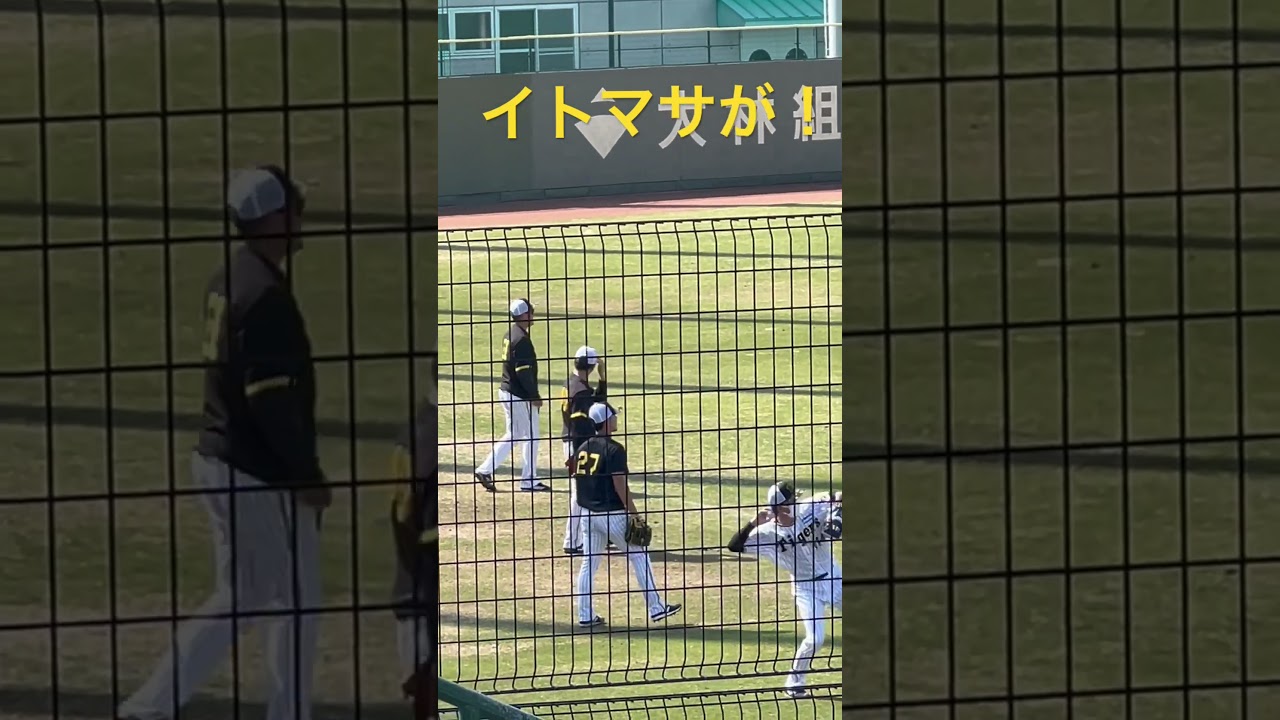 #阪神鳴尾浜球場