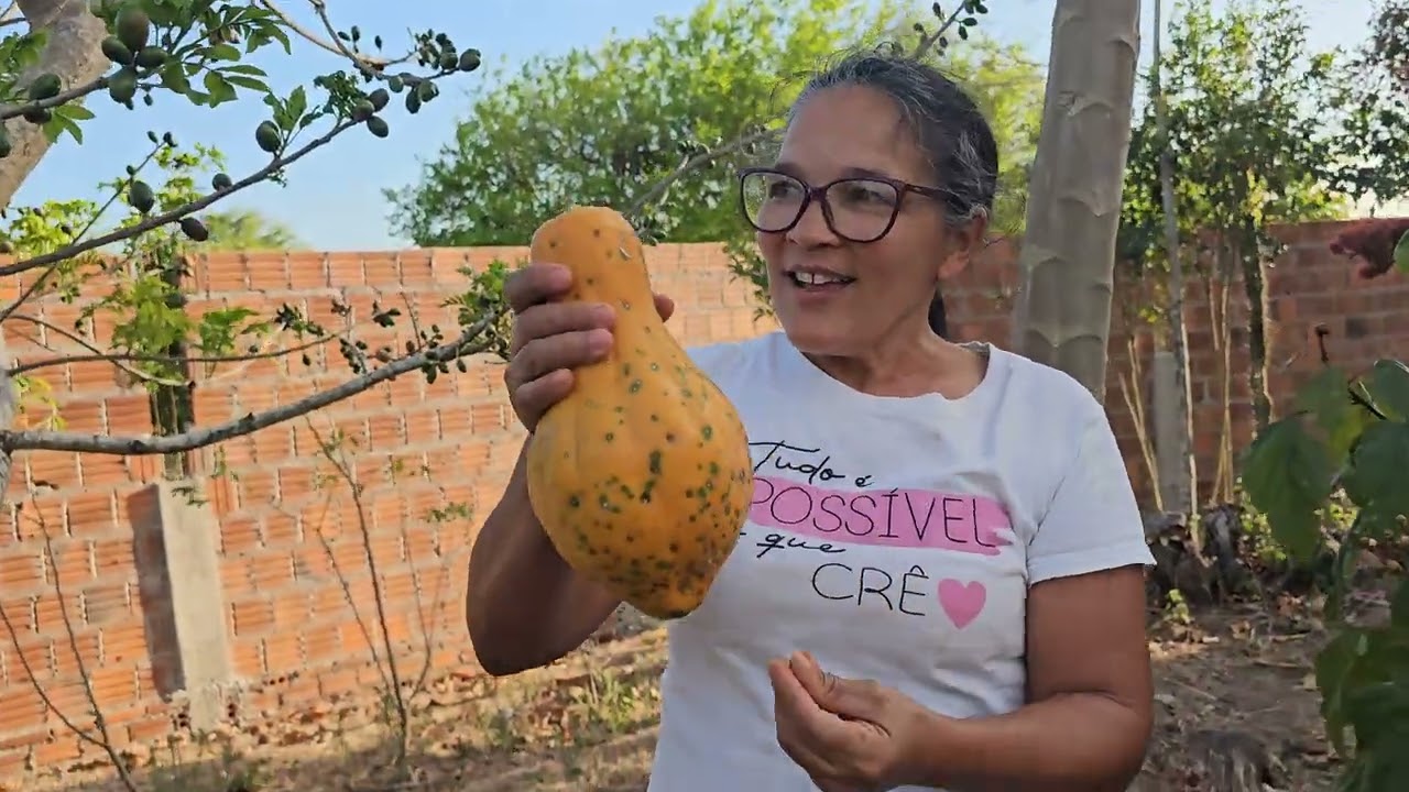 VÓ MARIA SE ATRAPALHOU TODINHA NO SÍTIO,  VEJA O QUE ELA FEZ