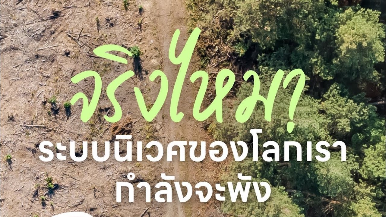 จริงไหม? ระบบนิเวศของโลกกำลังจะพัง เลยเป็นเหตุผลว่าทำไมโลกเราต้องมี OECMs
