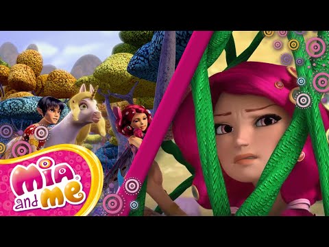 1. & 2. sezon 🦄 tam bölüm - 17 - Mia ve ben - Mia and me 🦄 🌸