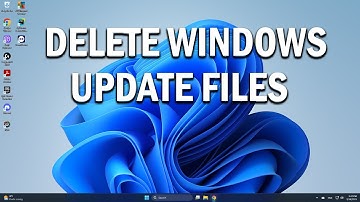 How To Delete Windows Update Files in Windows 11/10 - Easy Fix