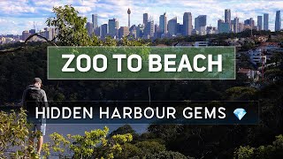 Sydney’s Most Beautiful Harbour Walk | Taronga Zoo to Balmoral Beach