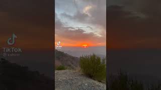 Nature Shorts #naturephotography #naturelovers #nature