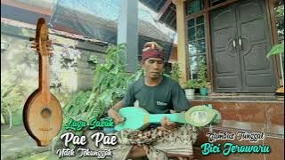 Lagu Sasak Pae Pae Ndek Tekanggok Ite Kanak Miskin Gambus Tunggal Bici Jerowaru