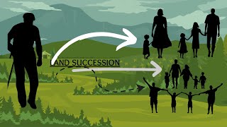 DECODING LAND SUCCESSION : THE GUIDE