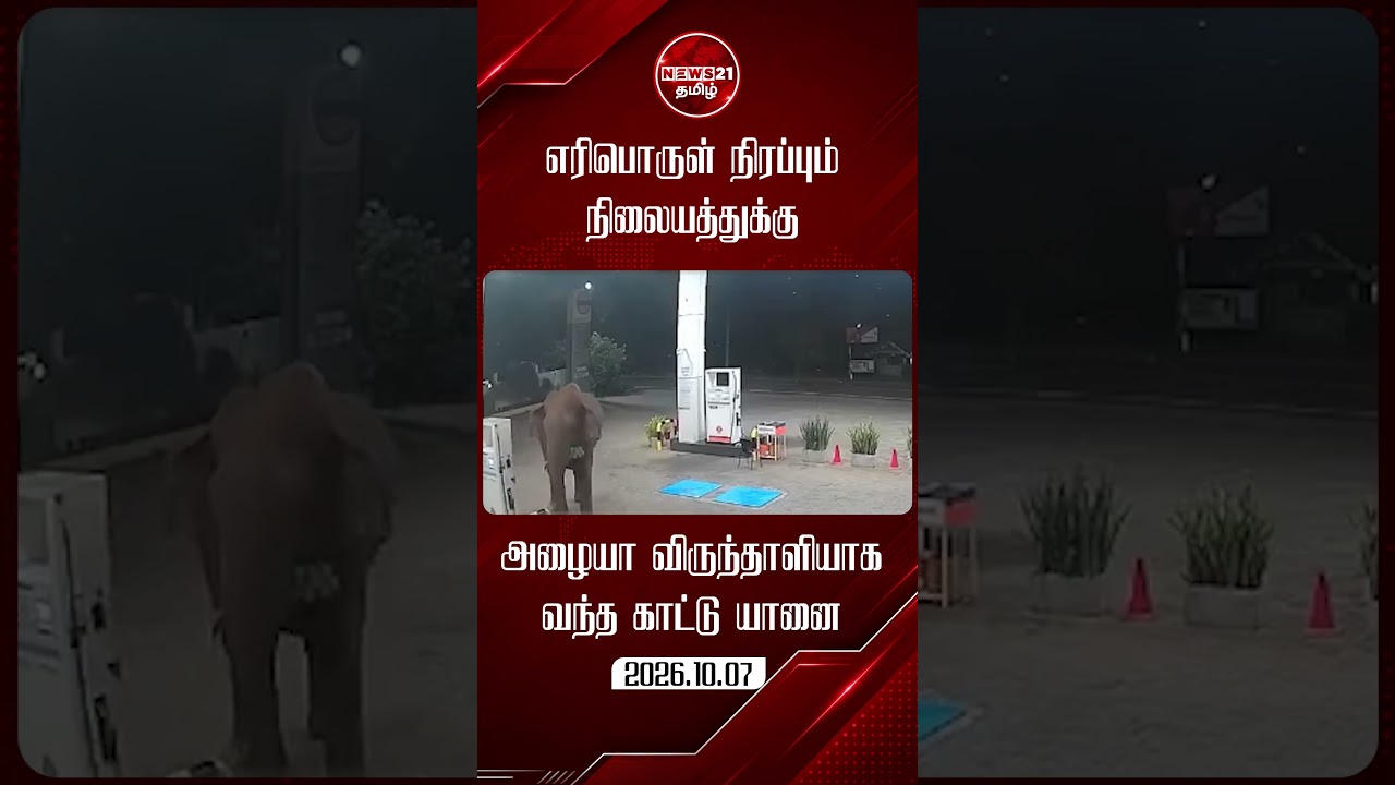 எரிபொருள் நிரப்பும் நிலையத்திற்கு வந்த யானை
