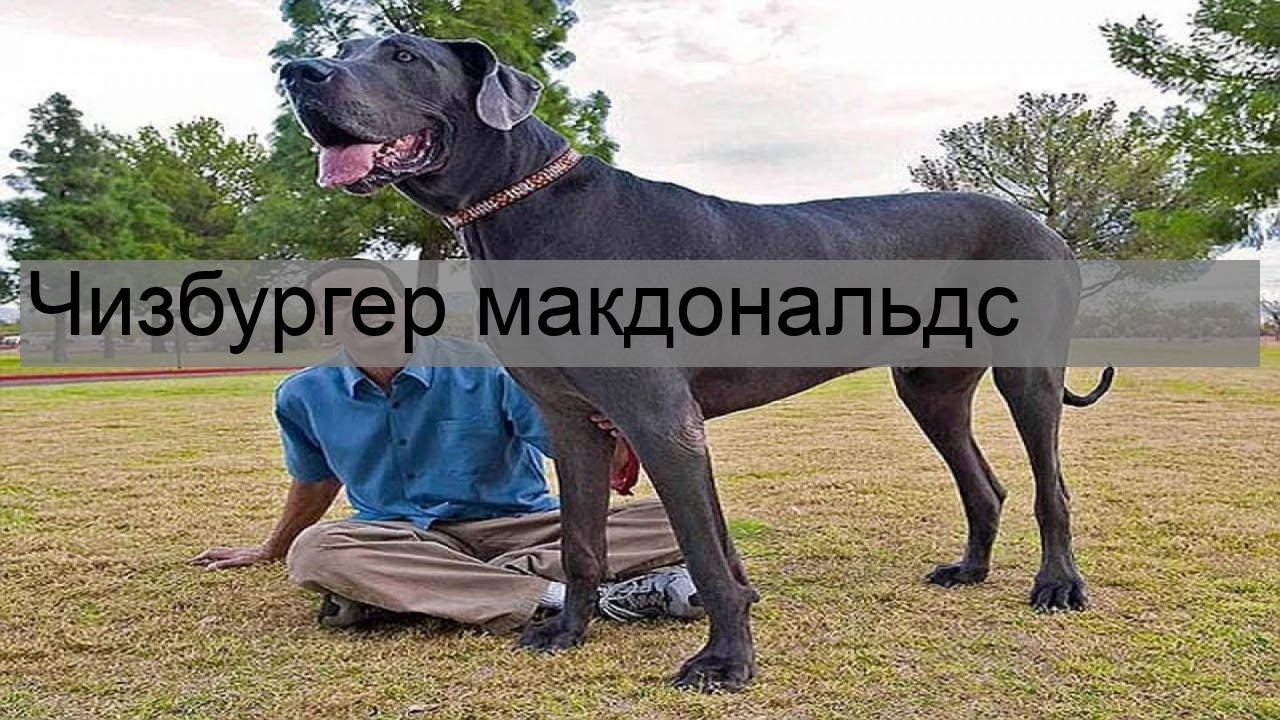 Строительная компания «архитектурное бюро unk project» — отзывы клиентов и сотрудников о работе