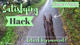 Satisfying Hack! - From Excited and Speedy, to Calm and Listening! | Helmet Cam