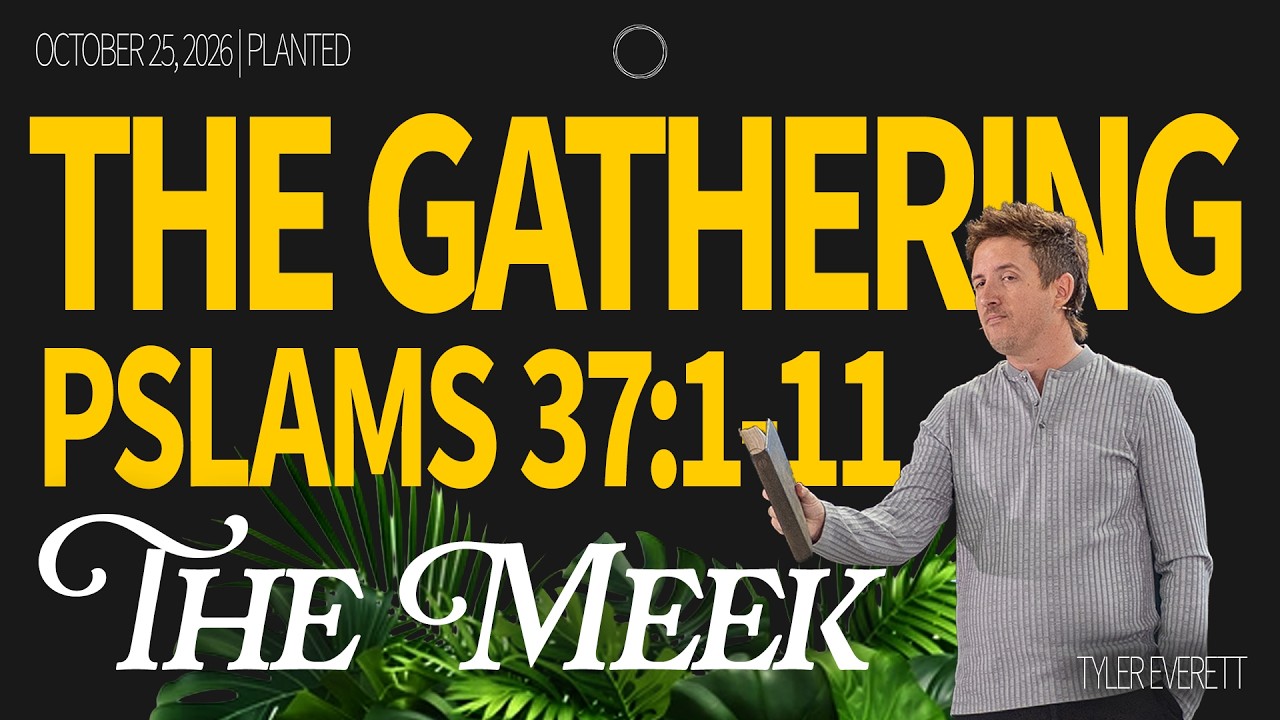 The Meek | The Gathering | Tyler Everett