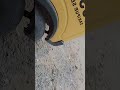 my velog👻☠️☠️...sigma..shorts video#desifunny, #hindifunny, #indiancomedy, #funnymoments, #relatable