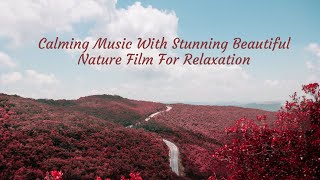 Oasis of Serenity: A Musical Journey to Relieve Stress, Anxiety, and Depression
