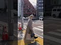 【神コート】冬の大本命ウールコート