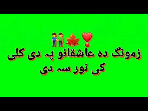            پشتو گرین سکرین شاعری