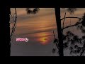Suno ~ Tum apni kahani khud likhna 💗✨🦢 | #Love | #aesthetic | #shayari | #feel | Lostgirldiya 