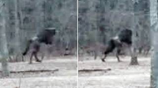 15 Strangest Unsolved Mysteries Of 2026 That Cannot Be Explained