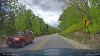 Bear Runs Across Road