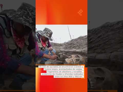 El INAH descubre un altar tolteca con cráneos, huesos y ofrendas de hace más de mil años. 😱✨