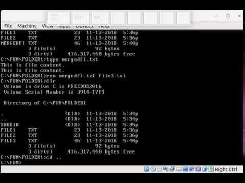 Commands for Handling Files and Folders in DOS | FreeDOS