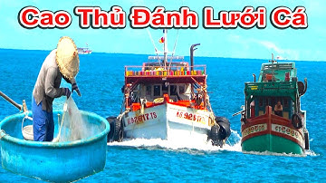 Cao Thủ Đánh Lưới Bằng Thúng Và Tàu Thuyền Hoạt Động Nhộn Nhịp || Cảng An Thới - Phú Quốc