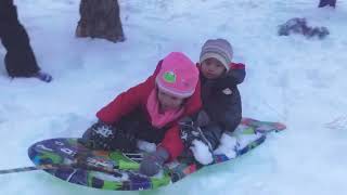 Babytt Gives Cousin Winston A Ride In Snow