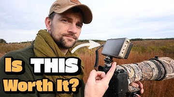 Why I use an External Monitor for Bird and Wildlife Photography
