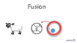 The Basics of Cloning