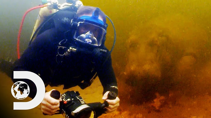 Close Underwater Encounter With A Dangerous Wild Hippo | Swimming With Monsters