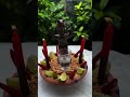 #candomble #macumbeira #axe #magia #exumirim #exu #pombagira #umbanda #viral #viralshort #magia