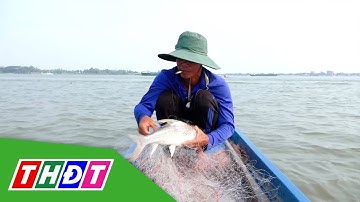 Mùa săn cá cóc trên sông Tiền | THDT
