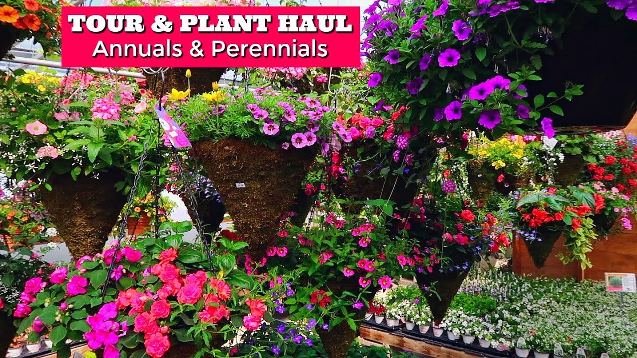 Tour Of My Family S Garden Center Shopping Annuals Perennials