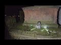 11/11/24 # haunted # ghost # hunt # people # in the dark # walking very scary #possession # spooky