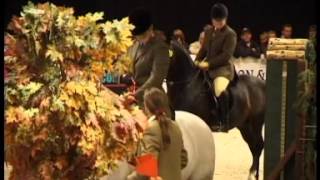 Troubadour HOYS 2006