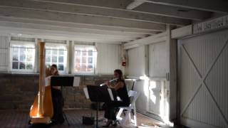 Here Comes The Sun - Flute And Harp