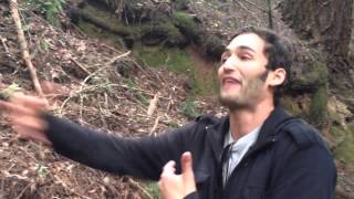 Return to Awe