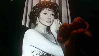 Famous Horacio the handsnake - Patricia Barry Wealth