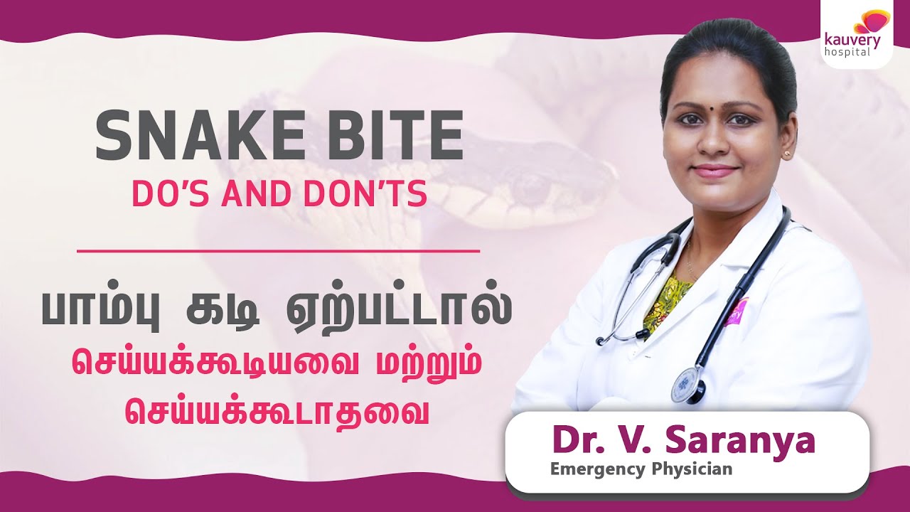 First Aid for Snake Bite பாம்பு கடிக்கு முதலுதவி YouTube