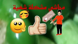 الد واطعم محاشي مشكلة بطريقتي اتمنى تنال اعجابكم #اشتراك_تفعيل_الجرس_لايك_كومنت