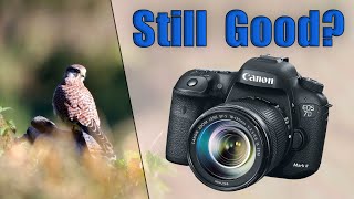 Canon 7D Mark 2 in 2022? An Amazing 8 Year Old Camera!