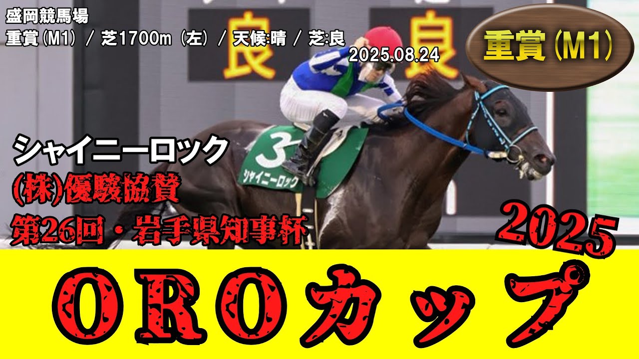 第24回 チャグチャグ馬コ杯 ダイヤモンドカップ 岩手競馬　トロフィー　記念　盃 競馬】 岩手県知事杯OROカップ （盛岡） 2025 / シャイニーロック