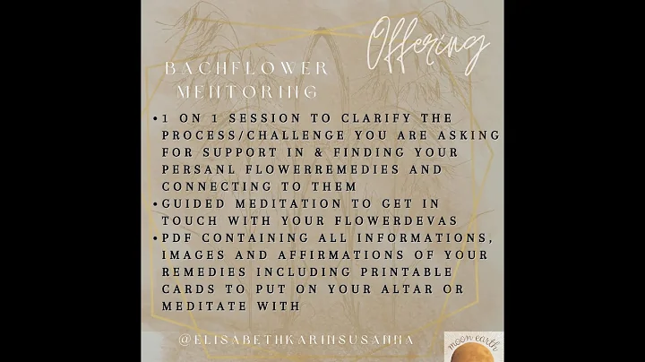 BachFlower Mentoring - All you need to know about my new special offer