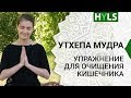 Утхепа мудра. Упражнение для очищения кишечника