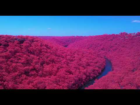 moktar - Cotton (Official Video)