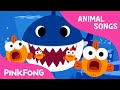 Baby Shark | Animal Songs | PINKFONG Songs for Children