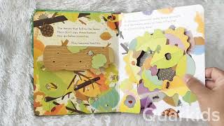 REVIEW BUKU UNIK USBORNE PEEP INSIDE THE FOREST