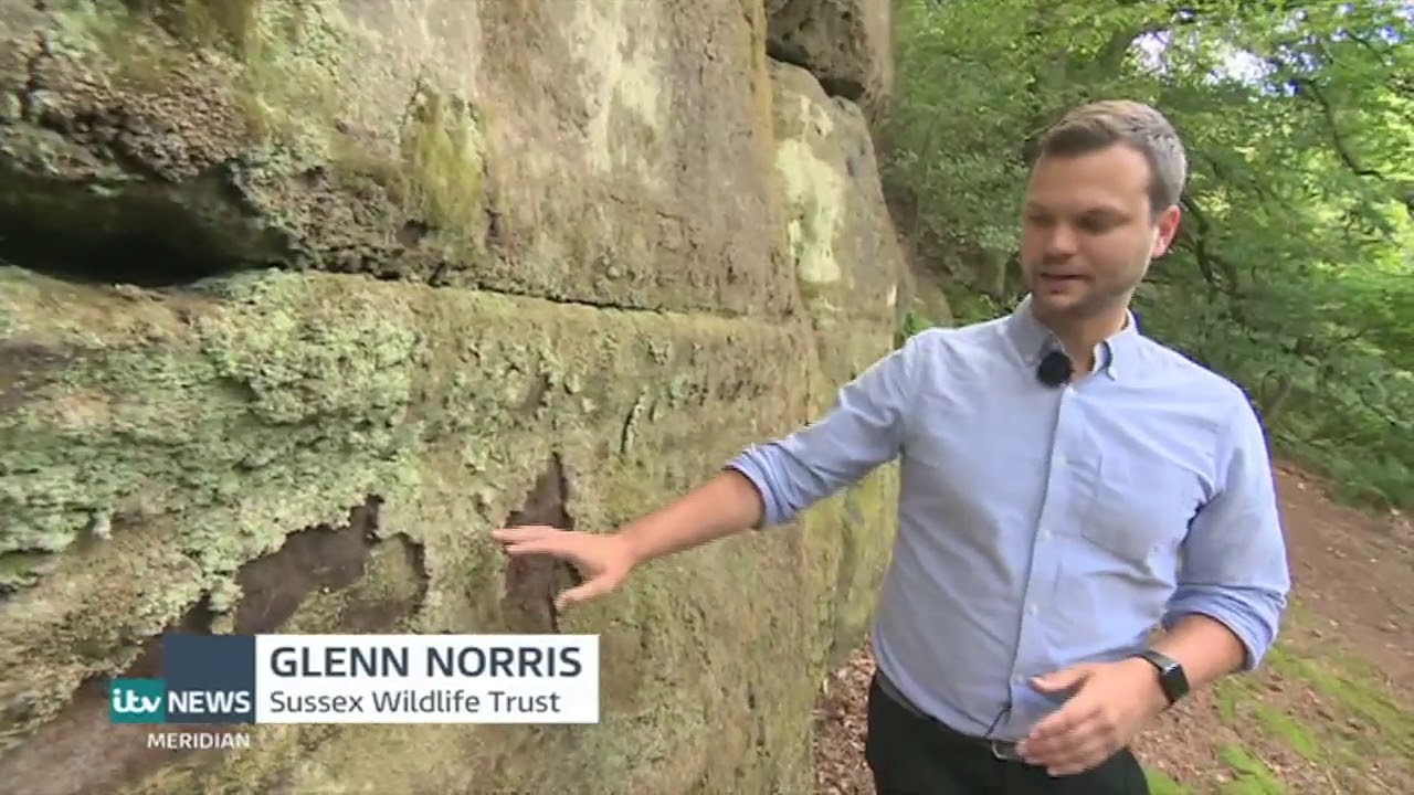 Eridge Rocks: Spirit of the South