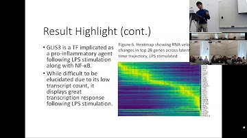 MIT CompBio Team03 Dynamic Processes Of Diseased Cell State Progression with RNA Velocity by Hyunjin