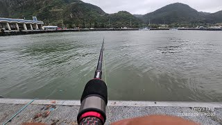 萬里漁港_颱風來臨前釣起來_20241028