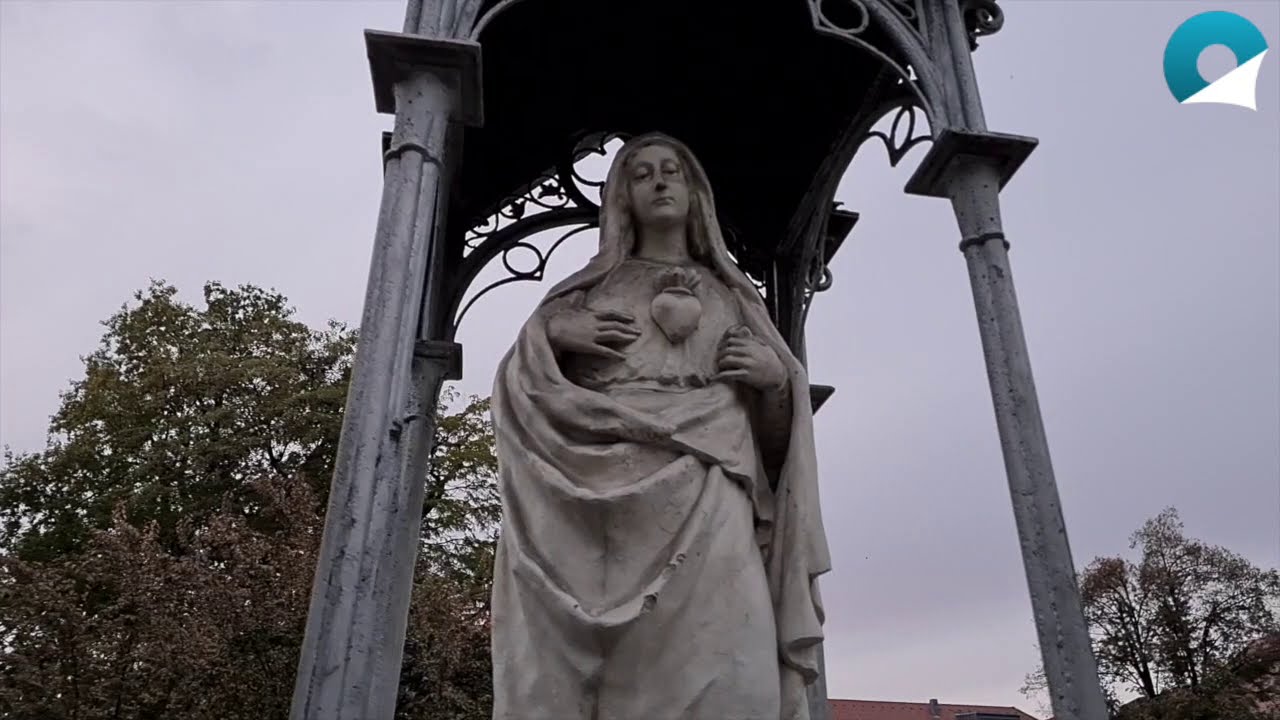 Ljubljana: Dan prej in dan potem (16. in 17. oktober) 📽Posneto s Samsungom Galaxy S20 Plus📽