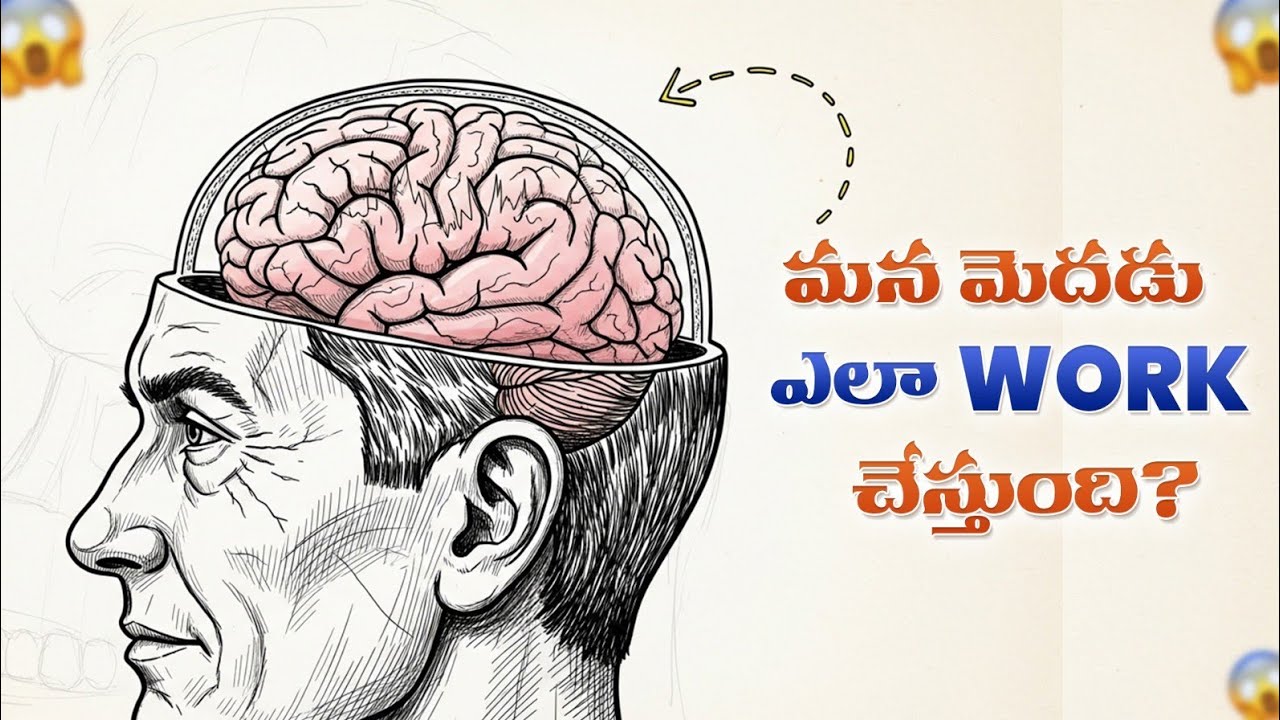 How Does the Human Brain Work? | Secrets of the Brain | Mind Power Explained | iSmart Swamy Facts