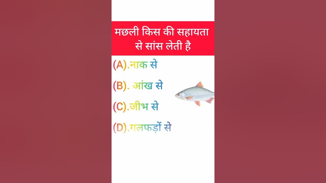 Viral Hai Lekin Kyon gk gkgs khansir GK Questions And Answers GK viral-hai-lekin-kyon-gk-gkgs-khansir-gk-questions-and-answers-gk